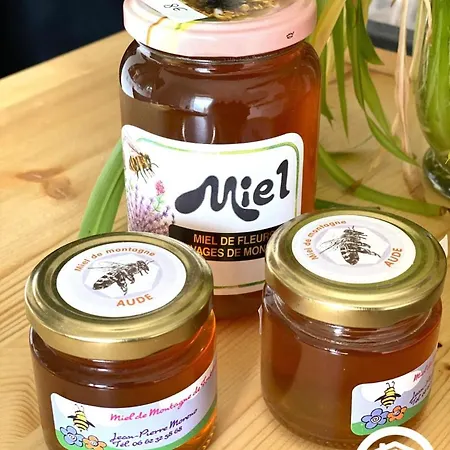 Casa de Férias Dame Nature La Tourette-Cabardes