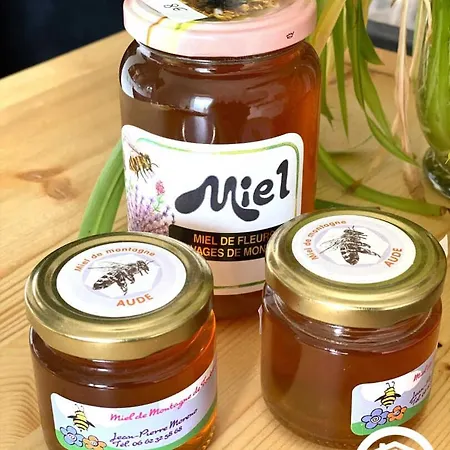 Dame Nature La Tourette-Cabardes